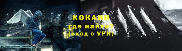 тгк Ладушкин