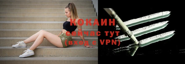 тгк Ладушкин