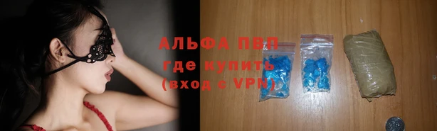 тгк Ладушкин