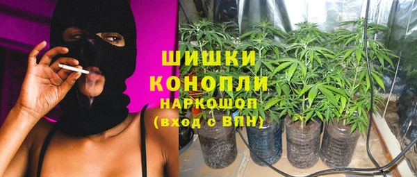 тгк Ладушкин