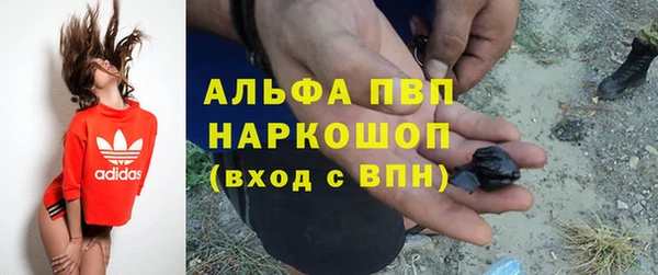 тгк Ладушкин