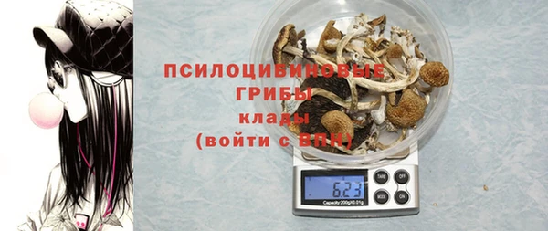 тгк Ладушкин